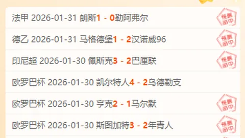 柏林联队险胜不来梅 德甲34轮精彩瞬间大盘点